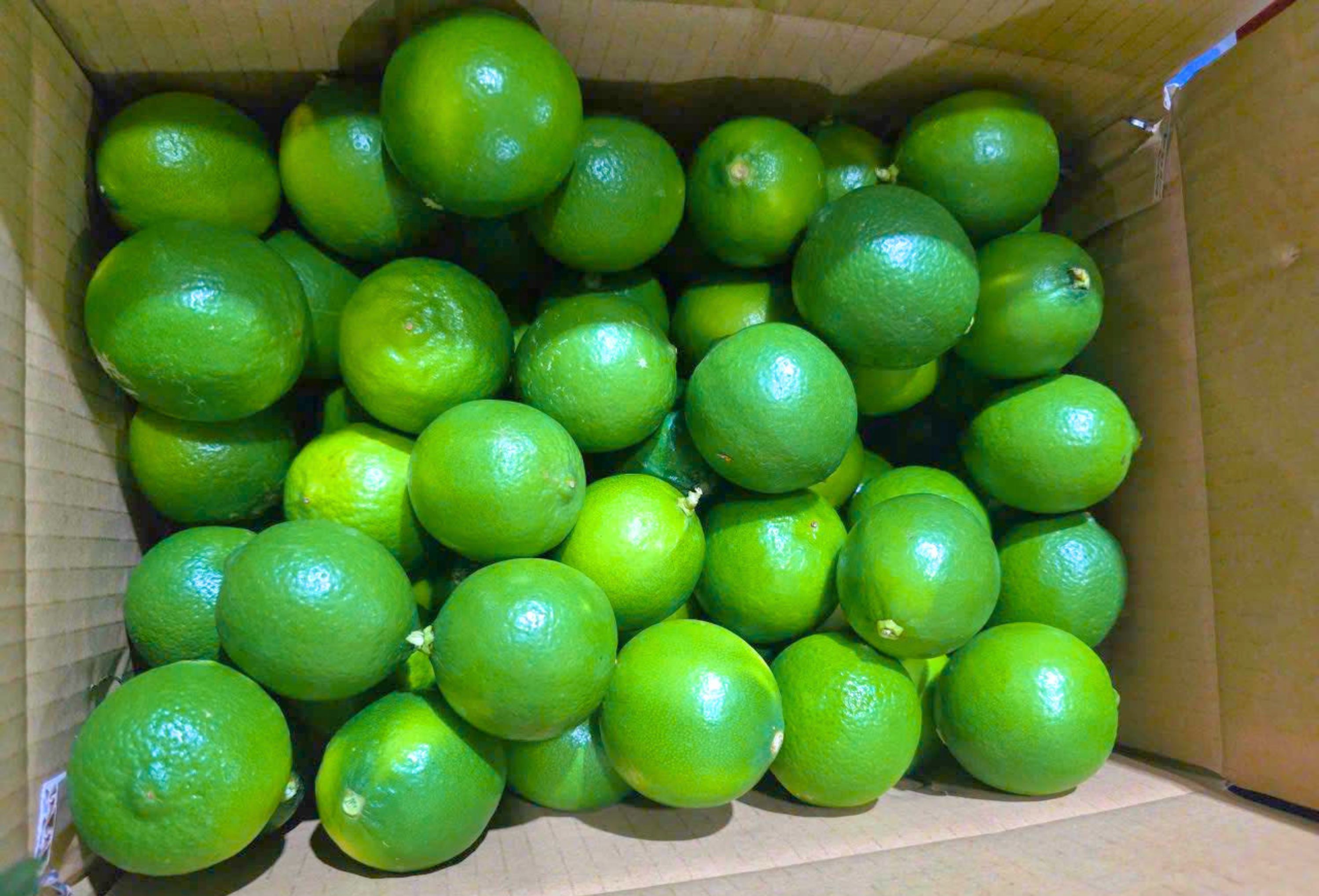 Fresh Seedless Lime