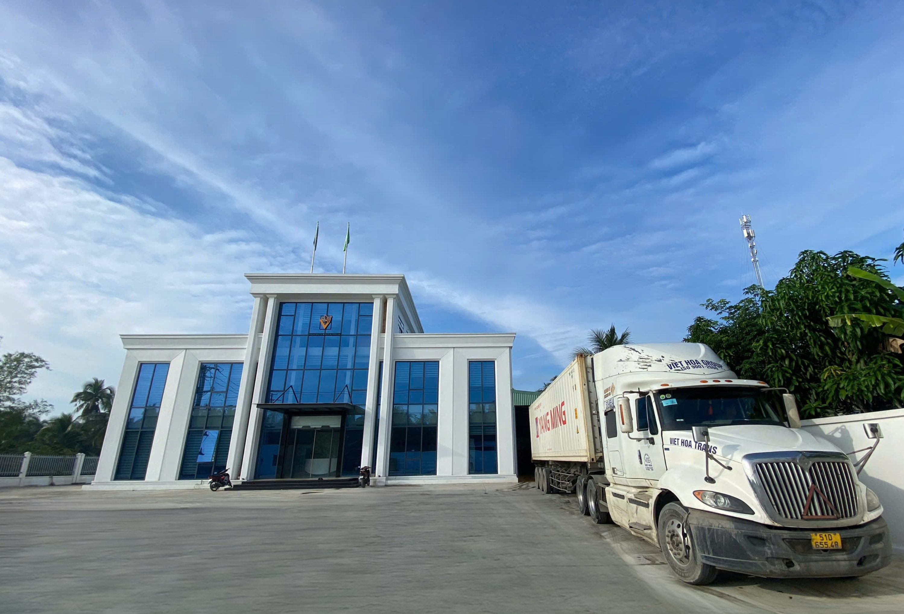 VietSun Holdings Fresh Coconut