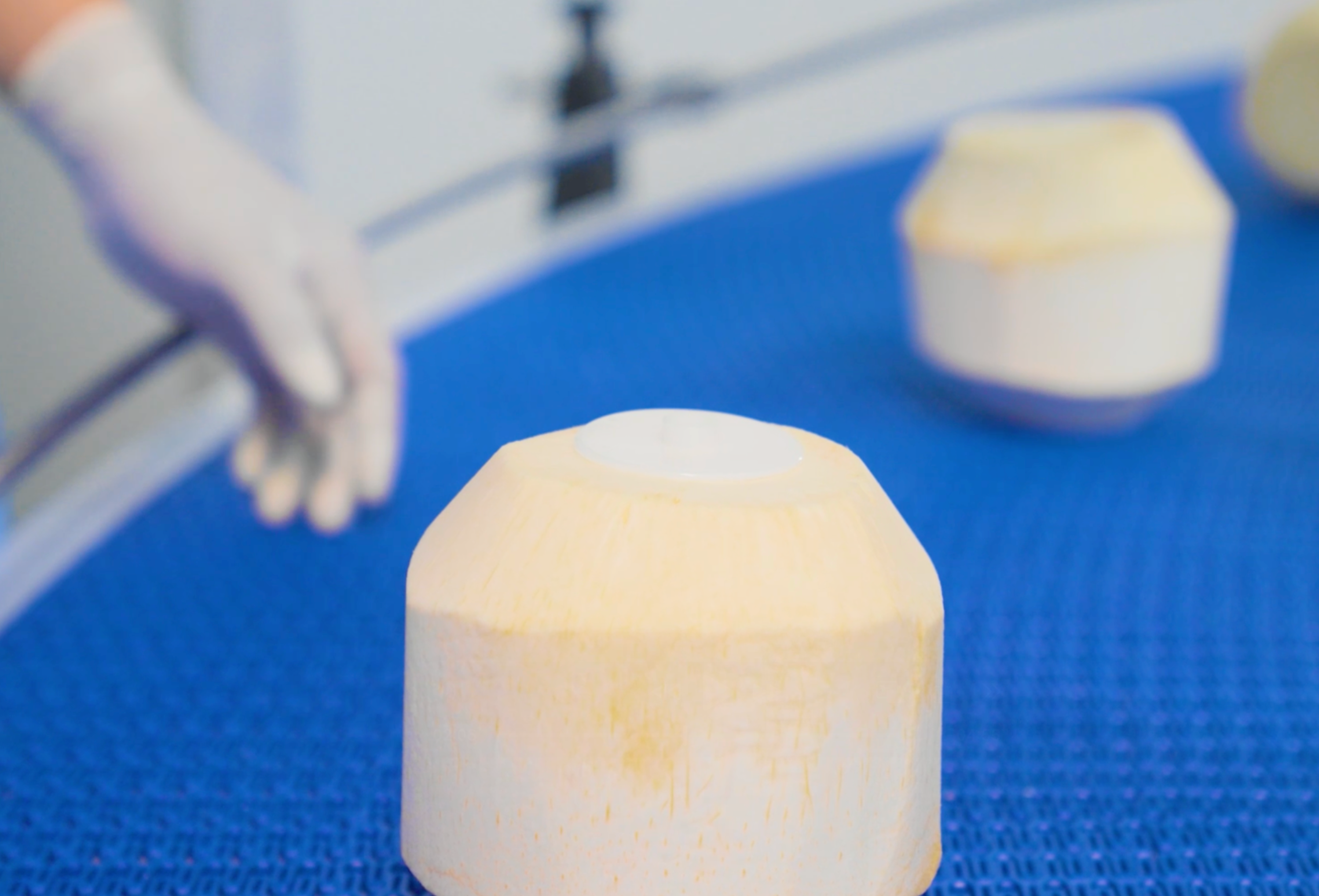 VietSun Holdings Fresh Coconut