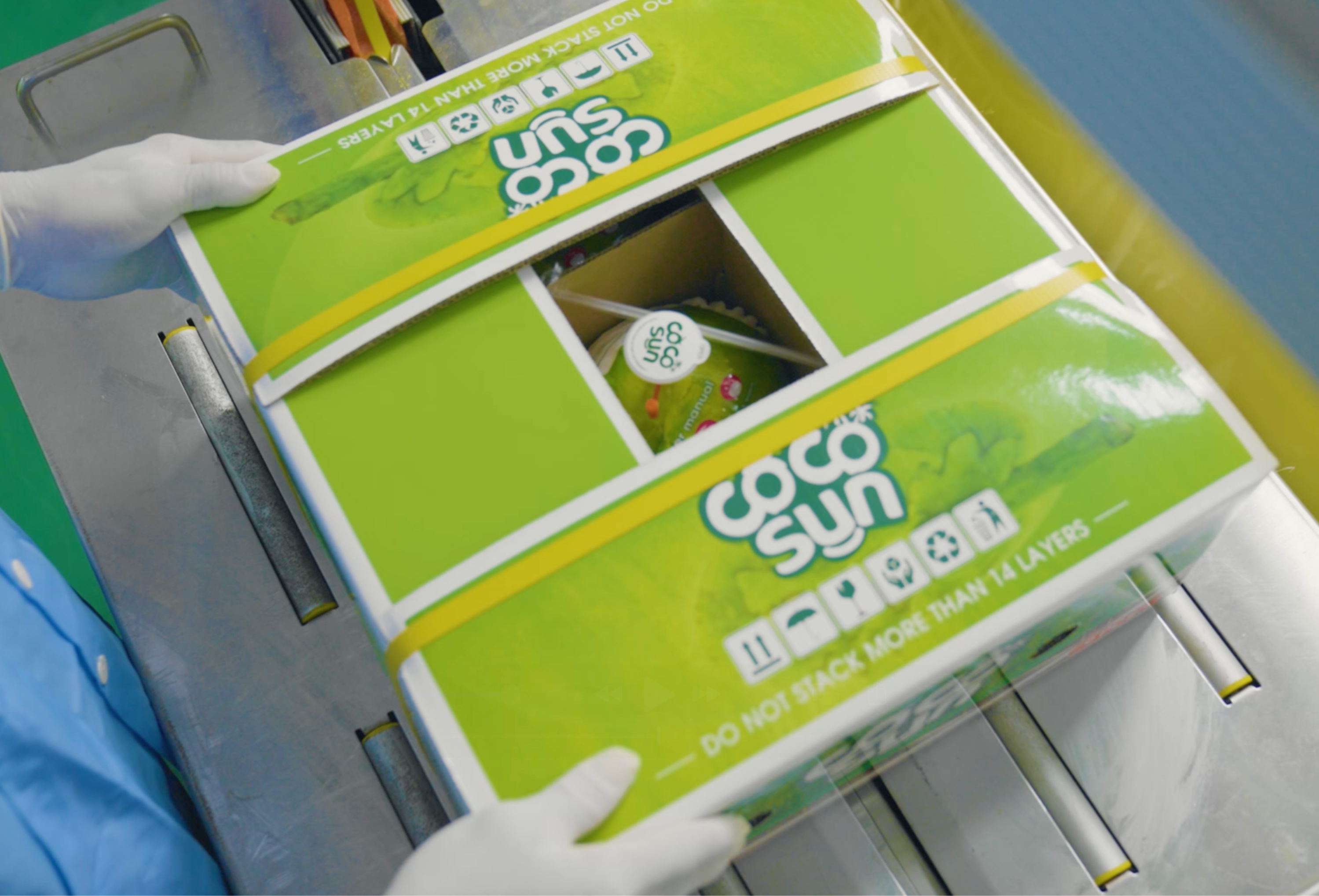 VietSun Holdings Matured Coconut