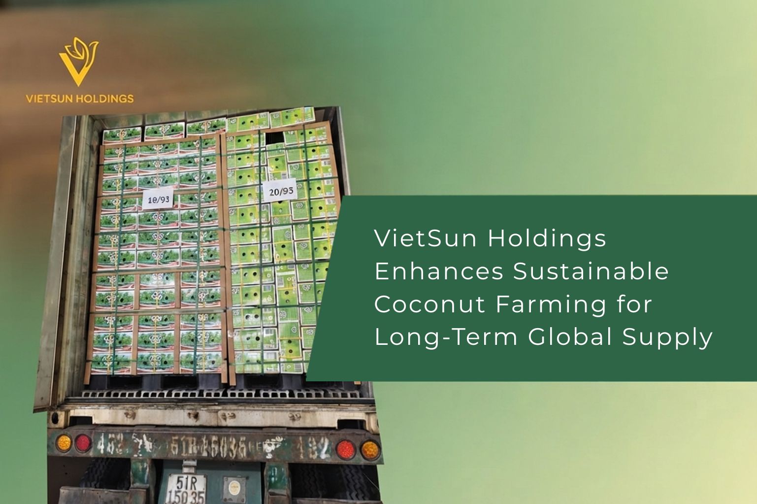 VietSun Holdings Enhances Sustainable Coconut Farming for Long-Term Global Supply