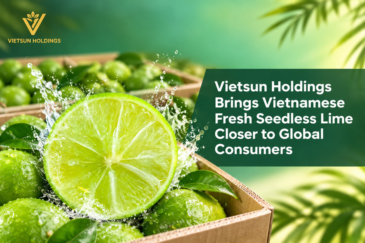 Vietsun Holdings Brings Vietnamese Fresh Seedless Lime Closer to Global Consumers