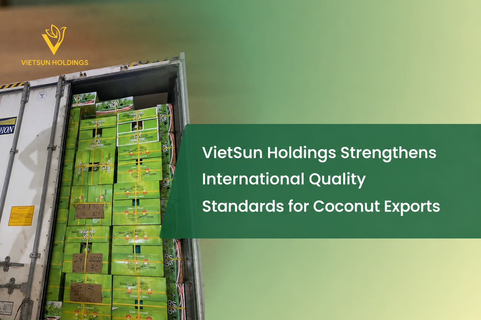 VietSun Holdings Strengthens International Quality Standards for Coconut Exports