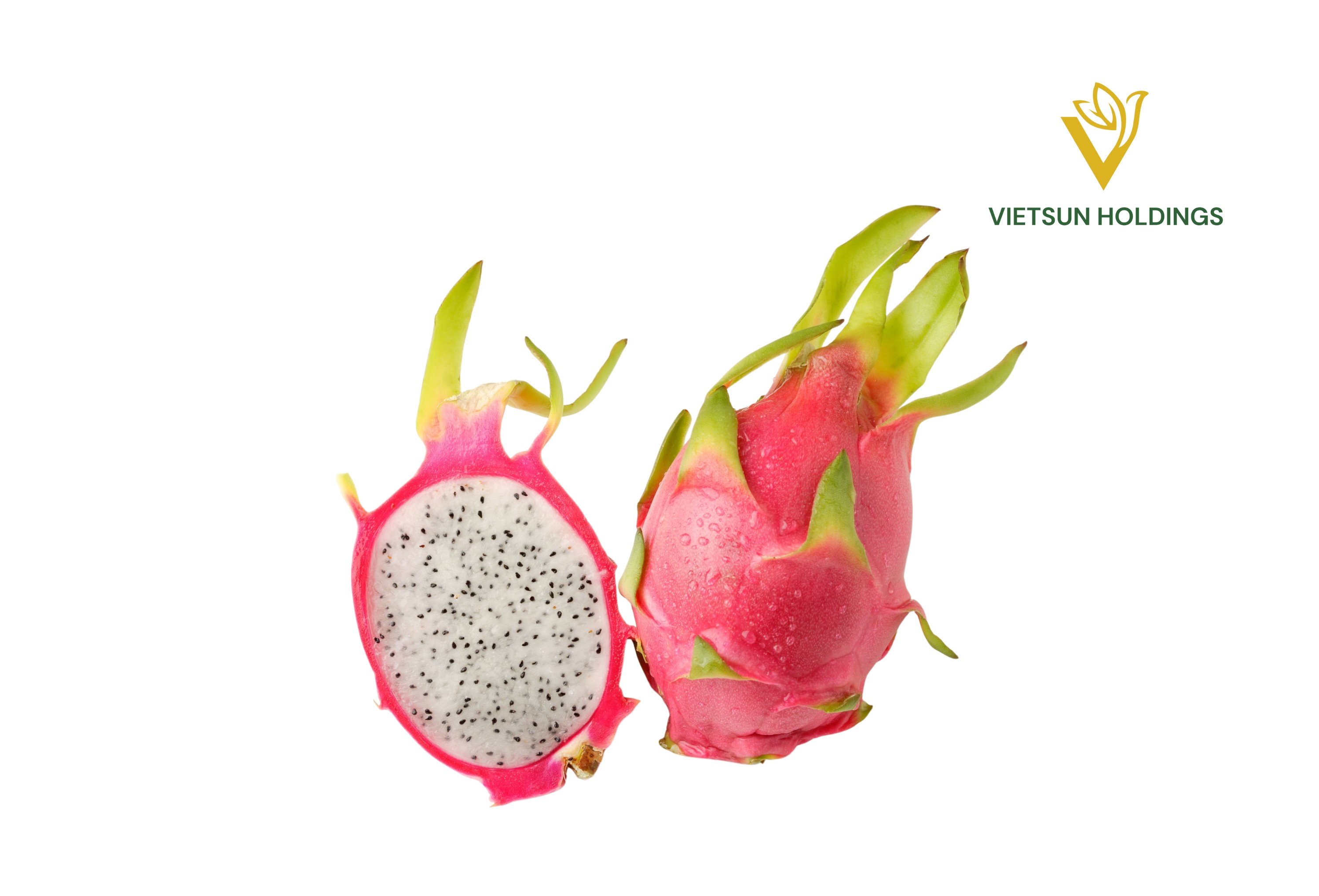 Dragon Fruit
