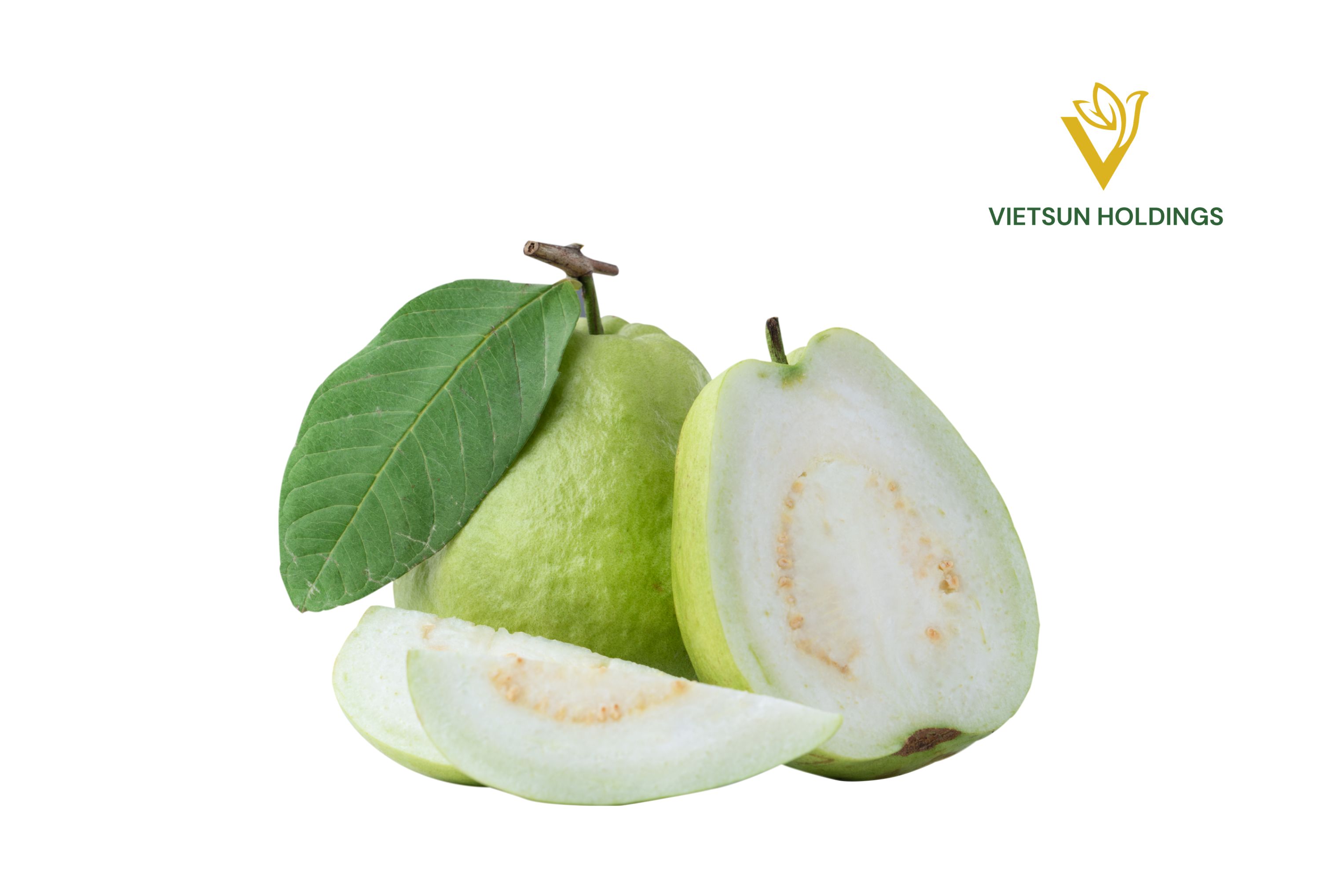Guava