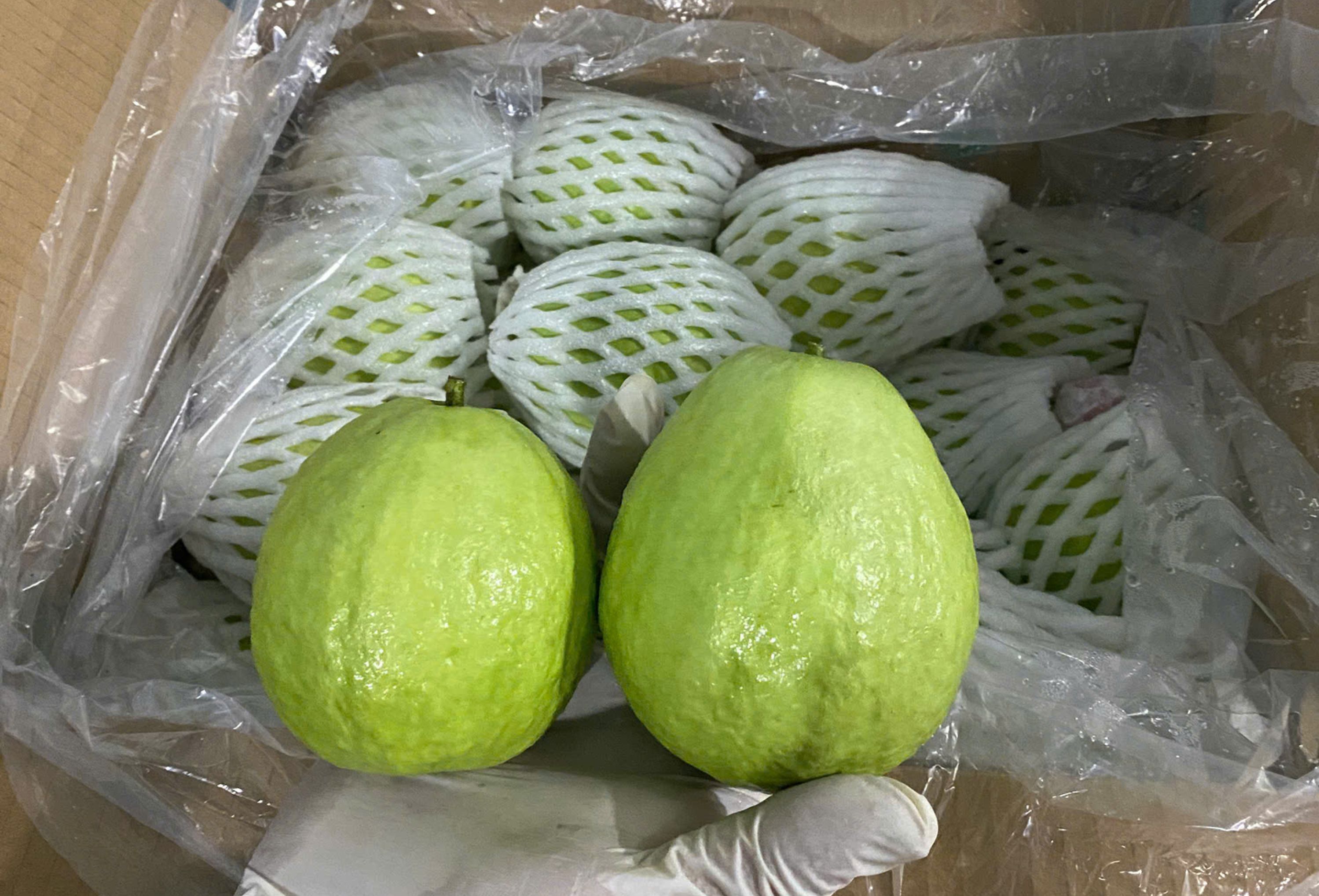 Fresh Guava