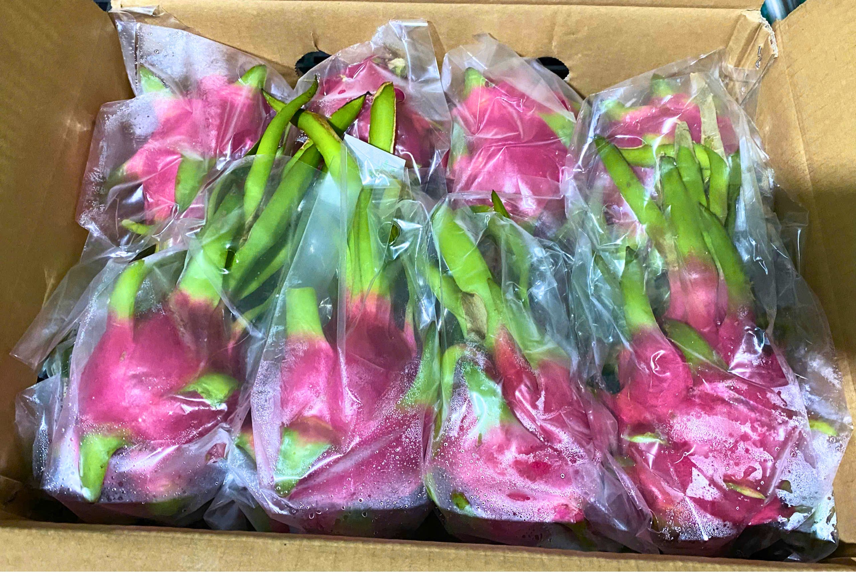 Fresh White Flesh Dragon Fruit