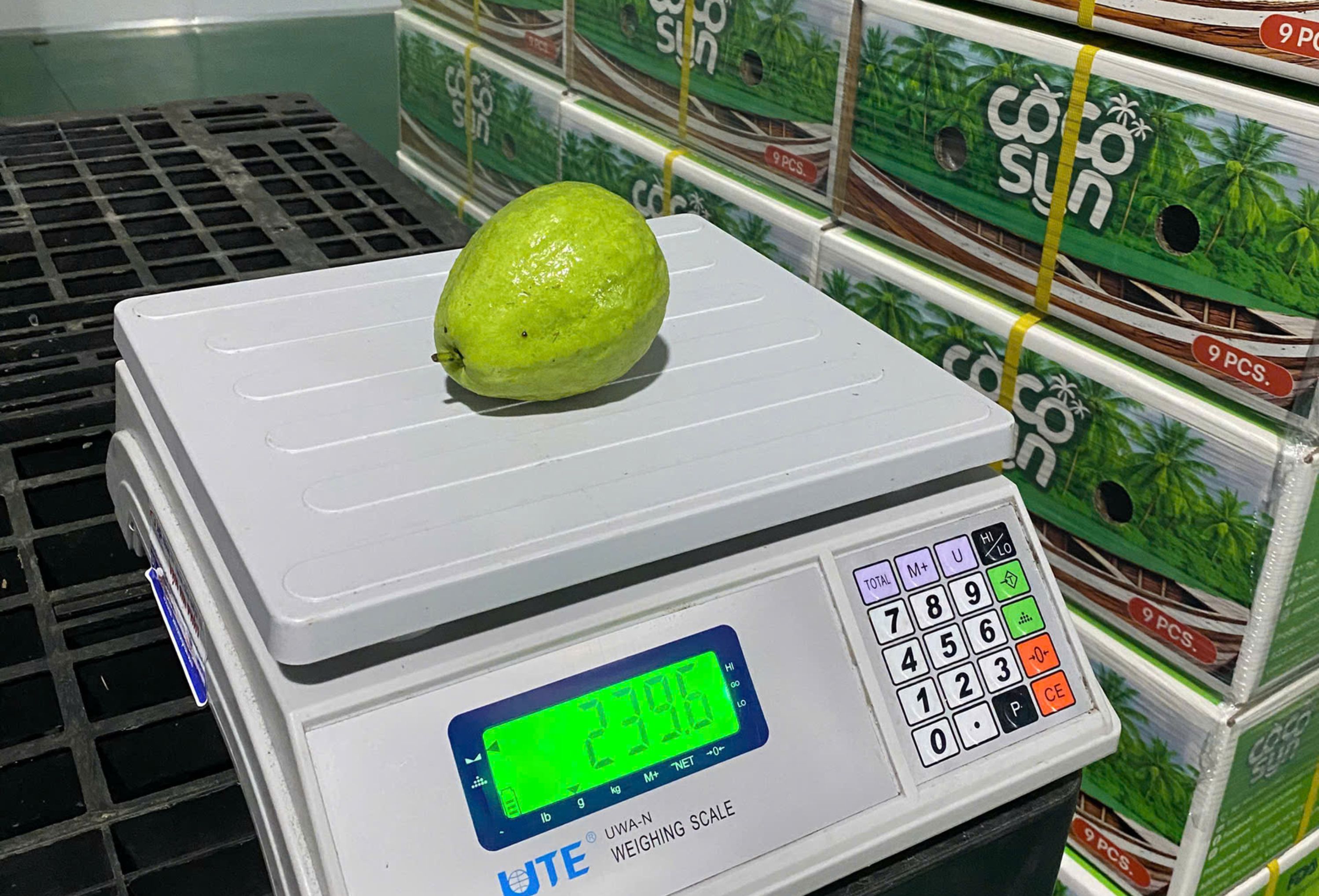 Fresh Guava