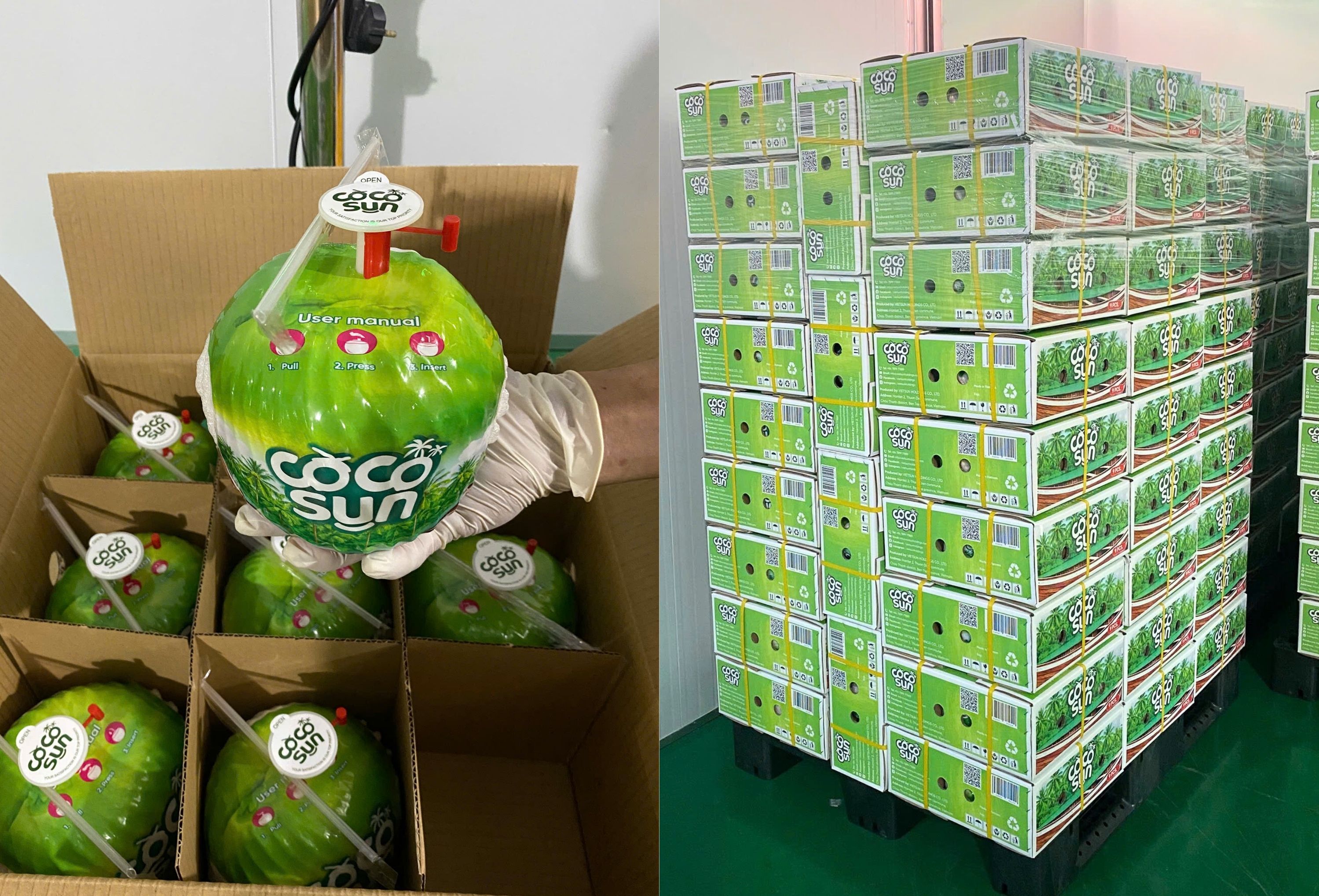 Coco Sun Easy Open Coconut (Thumb Coconut)