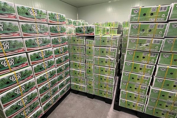 cocosun cold store stock