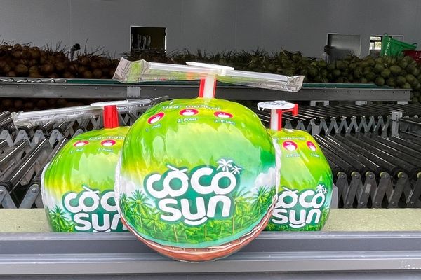 cocosun thumbcoconut 