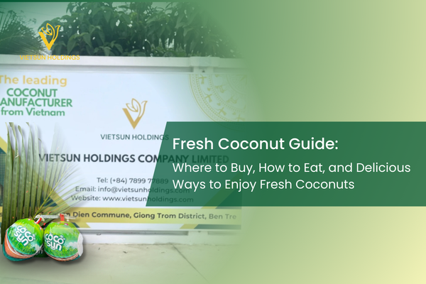 fresh coconut guide how to eat and where to buy 