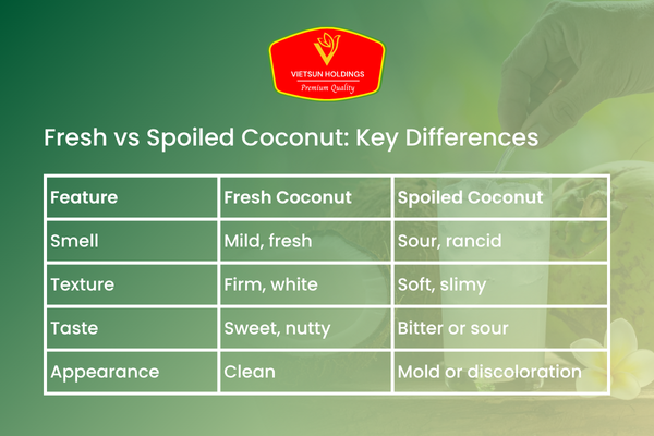 https://vietsunholdings.com/uploads/fresh-vs-spoiled-coconut-key%20-differences.png