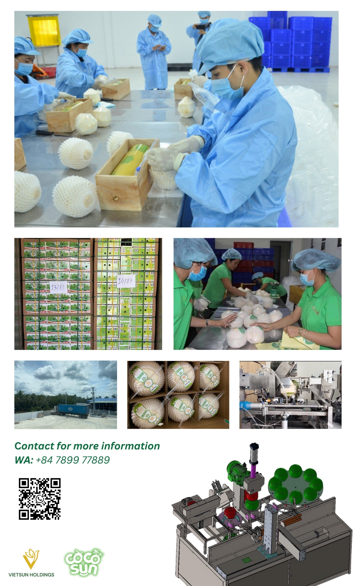 Vietsun holdings manufracturer