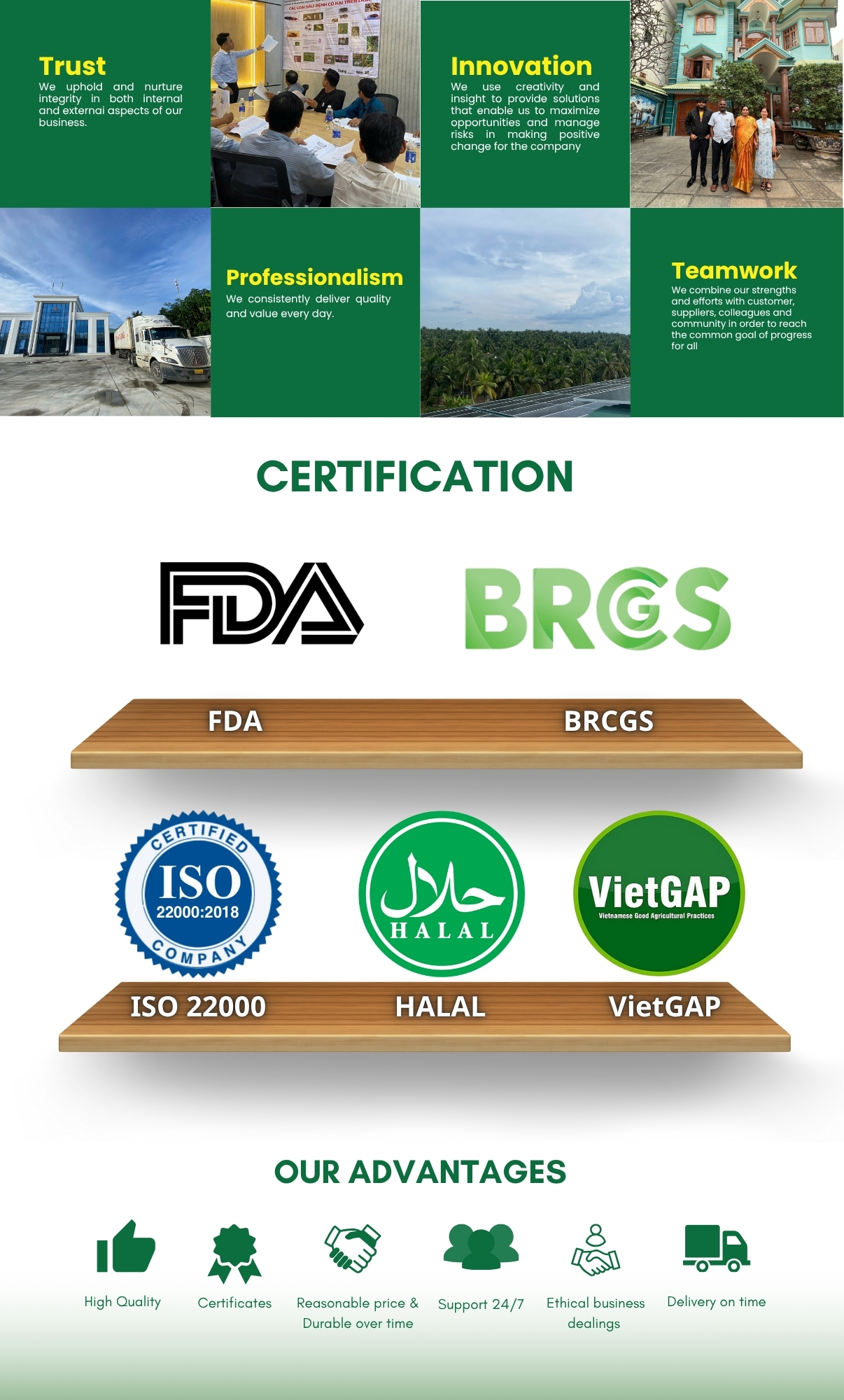 vietsunholdings brand vision and mission